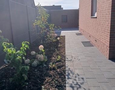 Rückbau eines Gartens und Neugestaltung. 