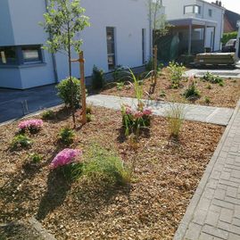 Der grüne Daumen Garten- und Landschaftsbau Ralf Othold Wiefelstede Terrassenbau